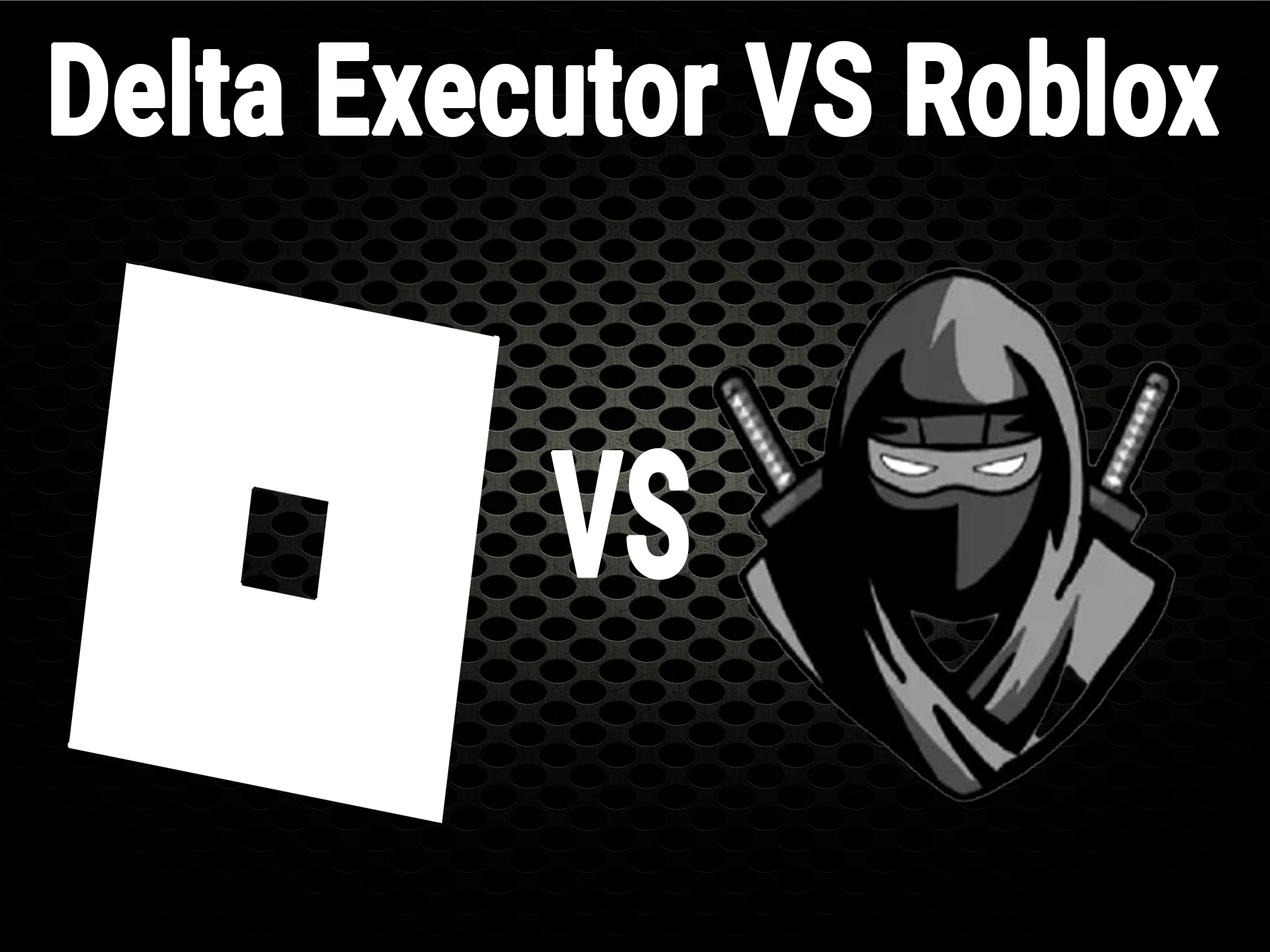 Delta Executor VS Roblox